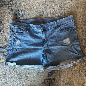 Loft Outlet Size 14 Denim Roll Light Wash Short Distressed Like New
